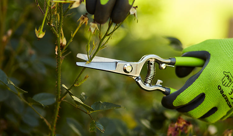 workpro-garden tools-pruning shears