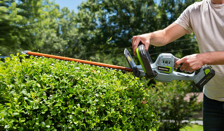 workpro-garden tools-20v cordless hedge trimmer