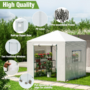 WORKPRO 8'x 8' Portable Walk-in Greenhouse