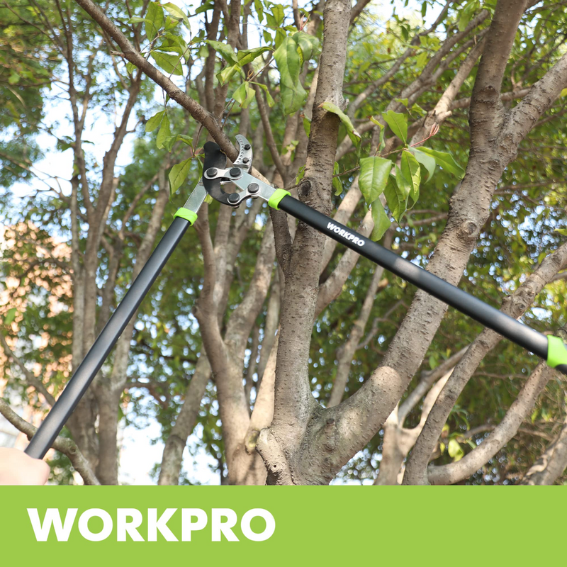 WORKPRO Anvil Lopper, 32 Inch Branch Cutter with Compound Action, Heavy Duty Garden Tree Trimmer