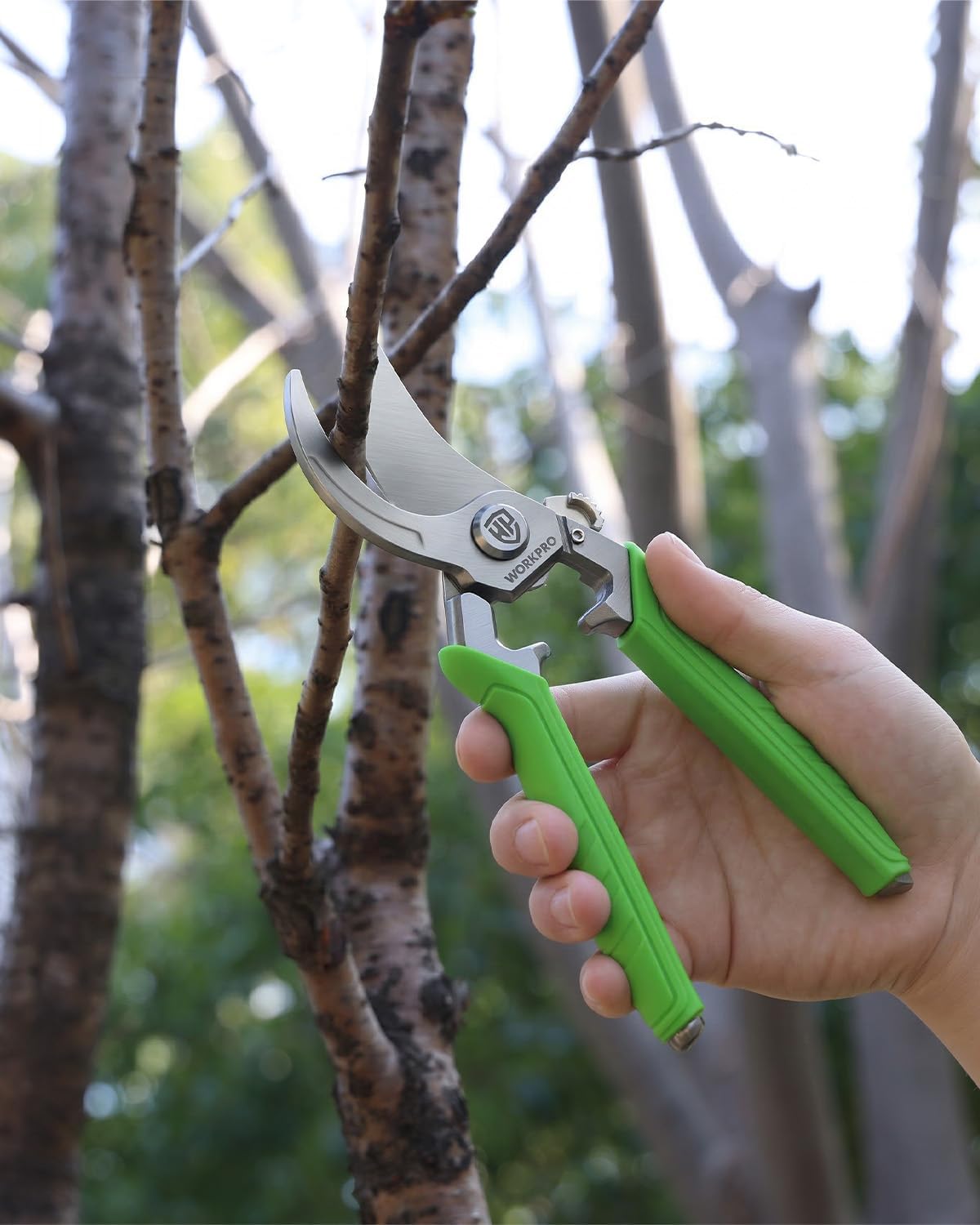 Hand holding green-grip bypass pruning shears with curved silver blade