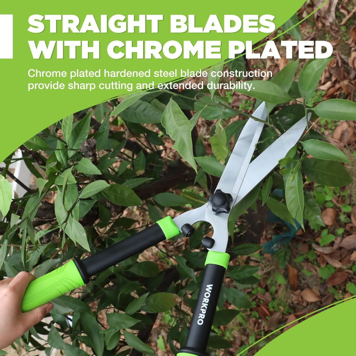 Manual hedge shears with chrome-like blades and green grip handles