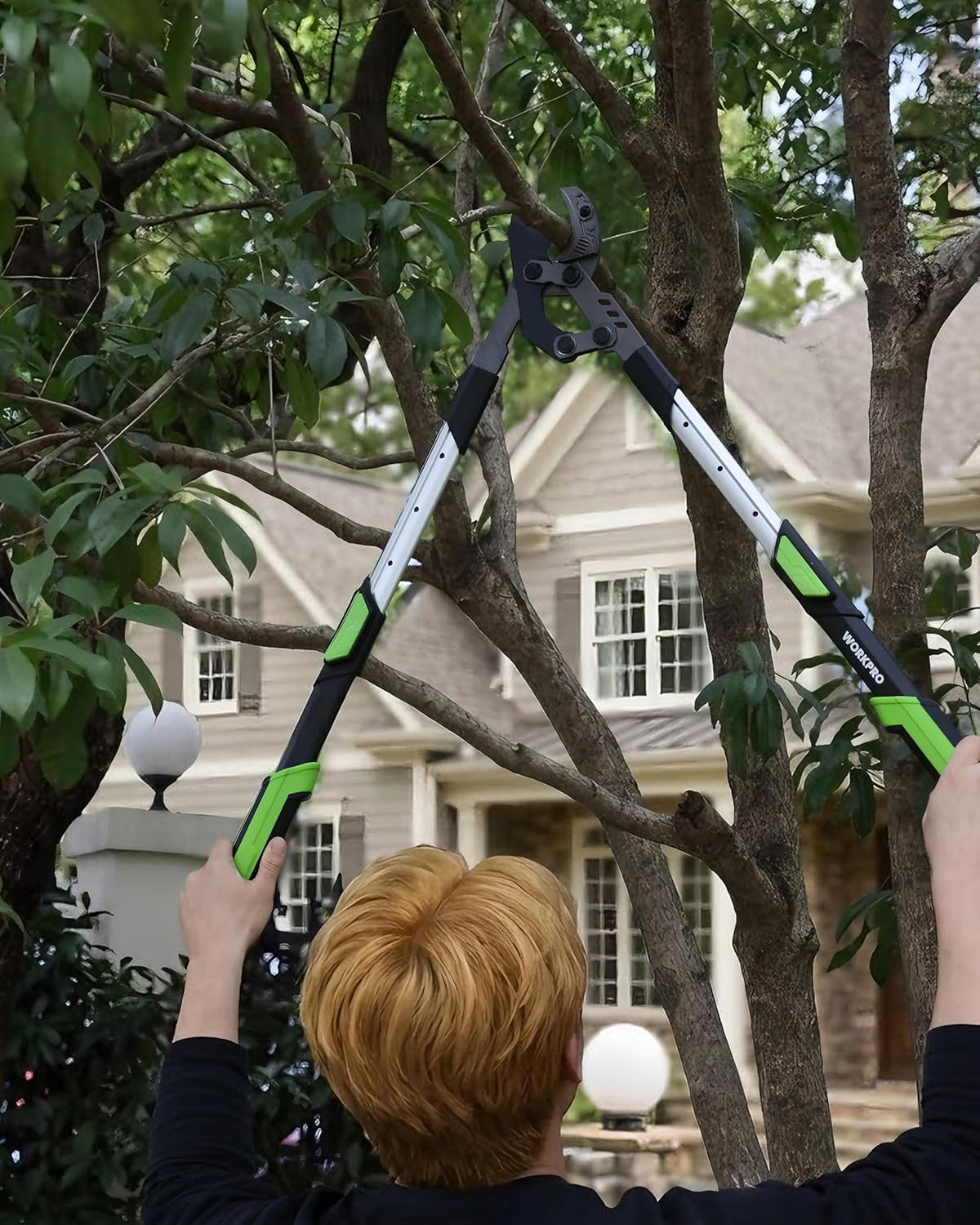 Extendable anvil lopper used overhead to trim branches in a yard, on white frame house.