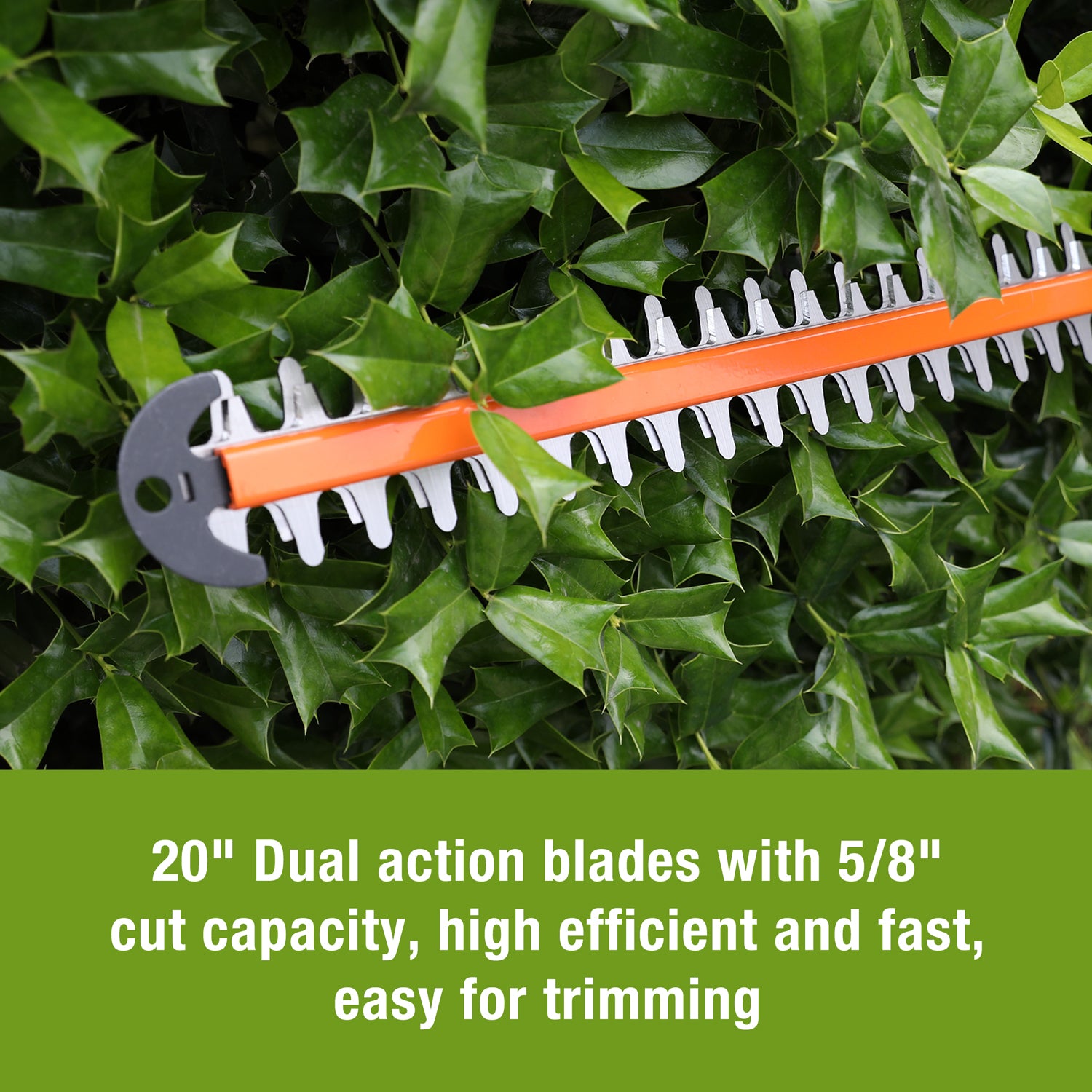 Hedge trimmer bar with dual-action blades and orange cutting guide