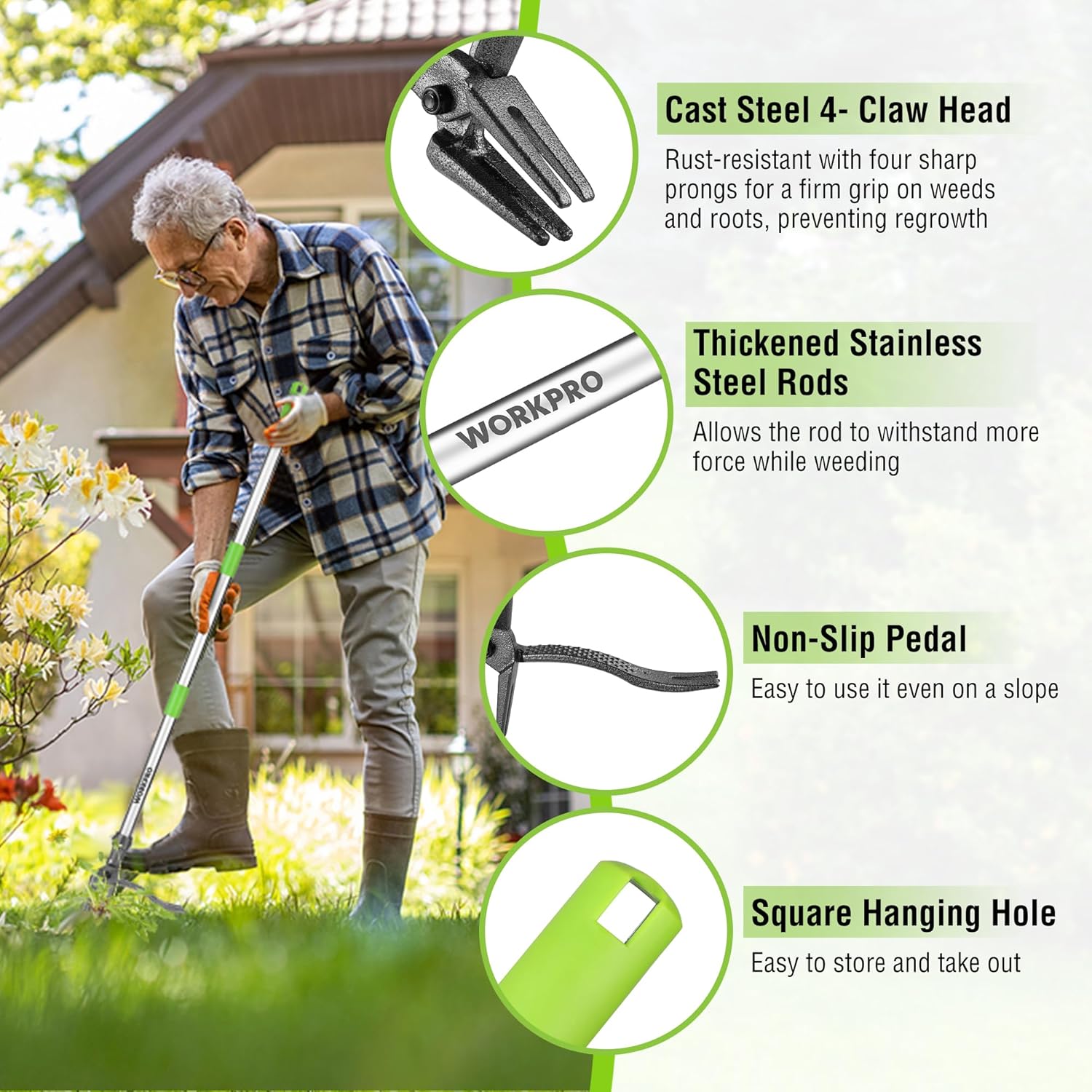 Long-handled weed puller with 4-claw cast steel head and long metal rods