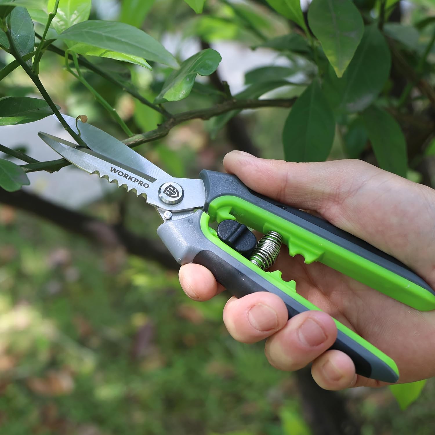 WORKPRO pruning shears with green-and-gray grips and stainless blades, held in hand outdoors