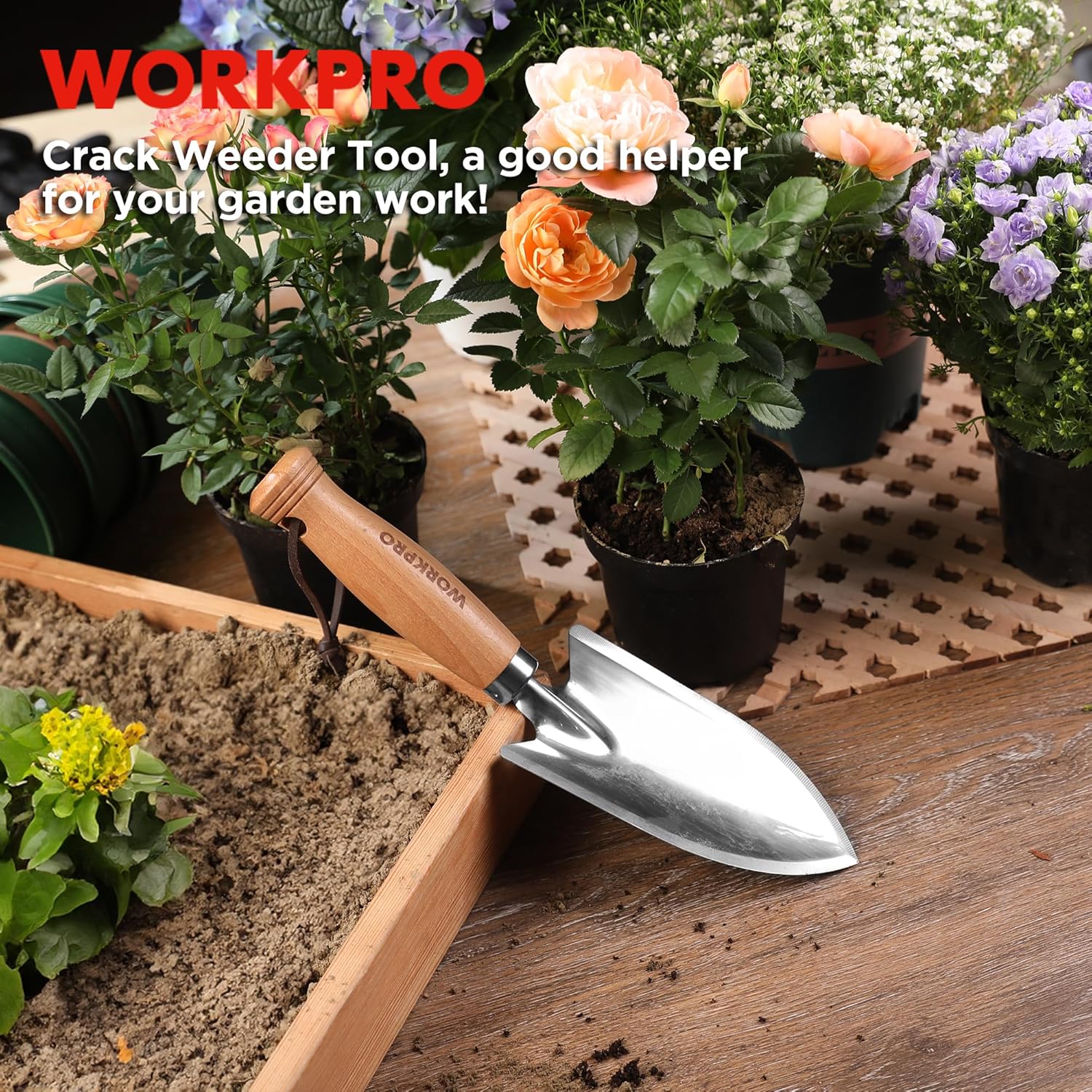 Garden hand trowel with stainless steel blade and wooden handle used for weeding and soil work