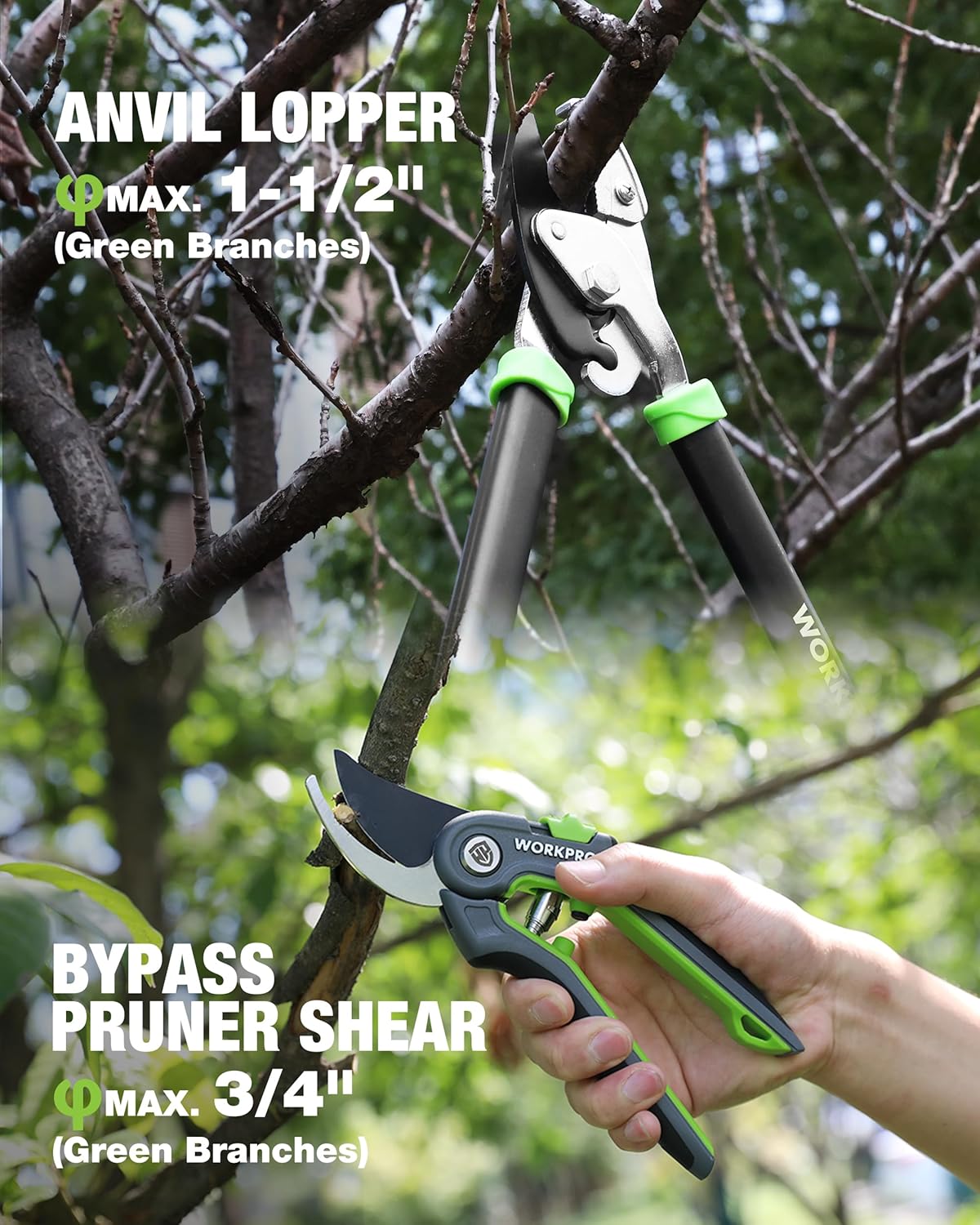 Anvil lopper and bypass pruner shear with green-and-black handles for branches