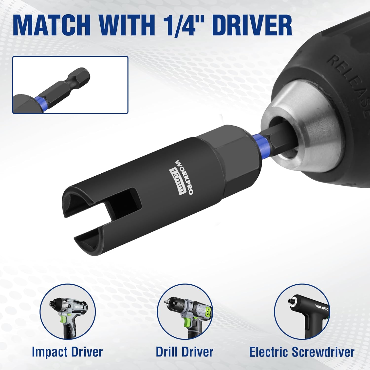 1/4 hex shank wing nut driver socket bit, black with blue ring, visible hex end.