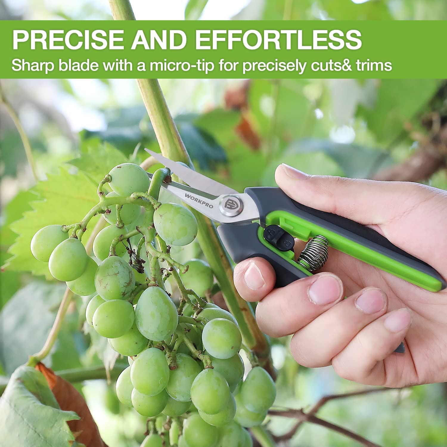 Gardening pruning shears with green handle and straight stainless blades, held in hand