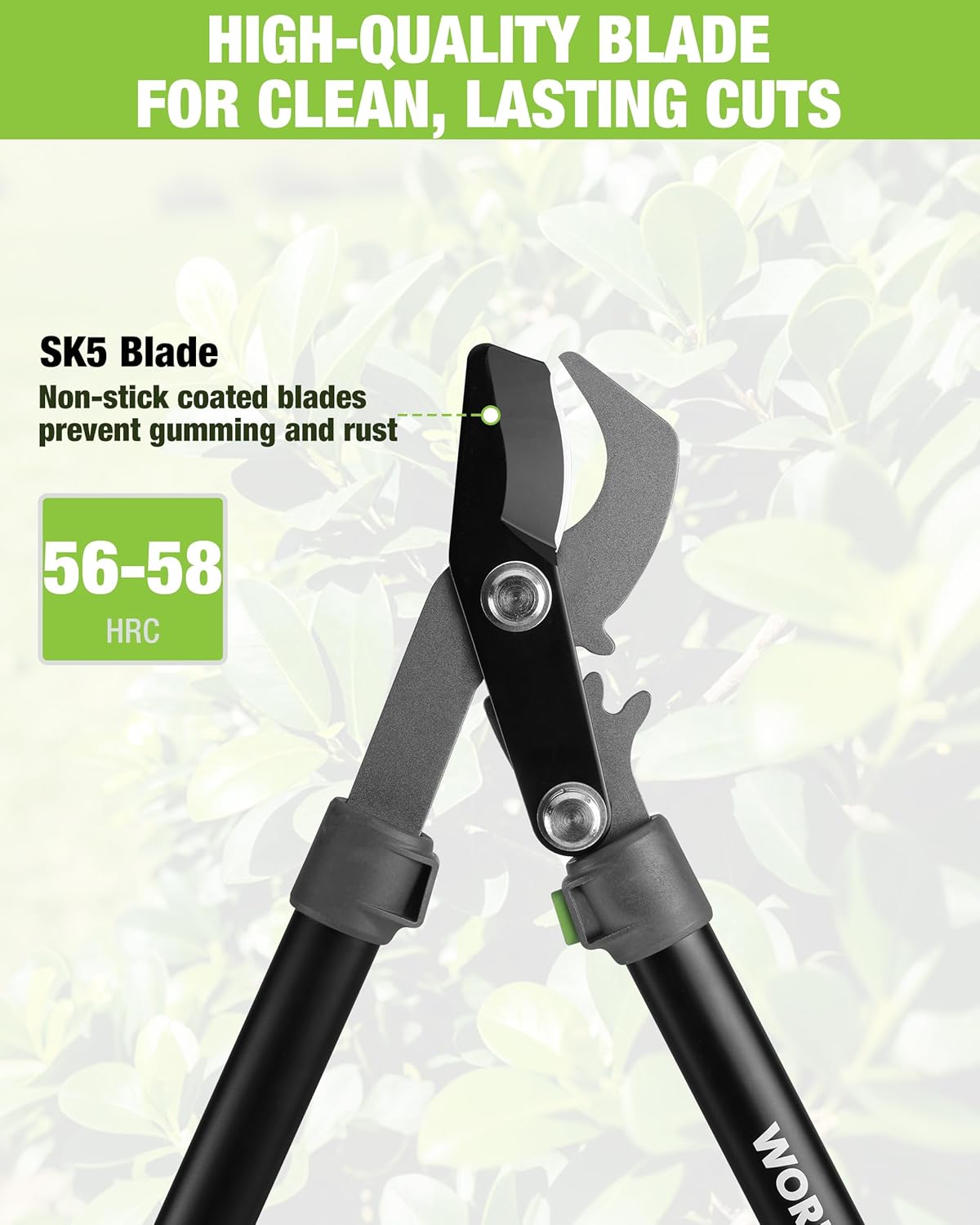 Bypass lopper with SK5 blade and black-and-green cushioned handles