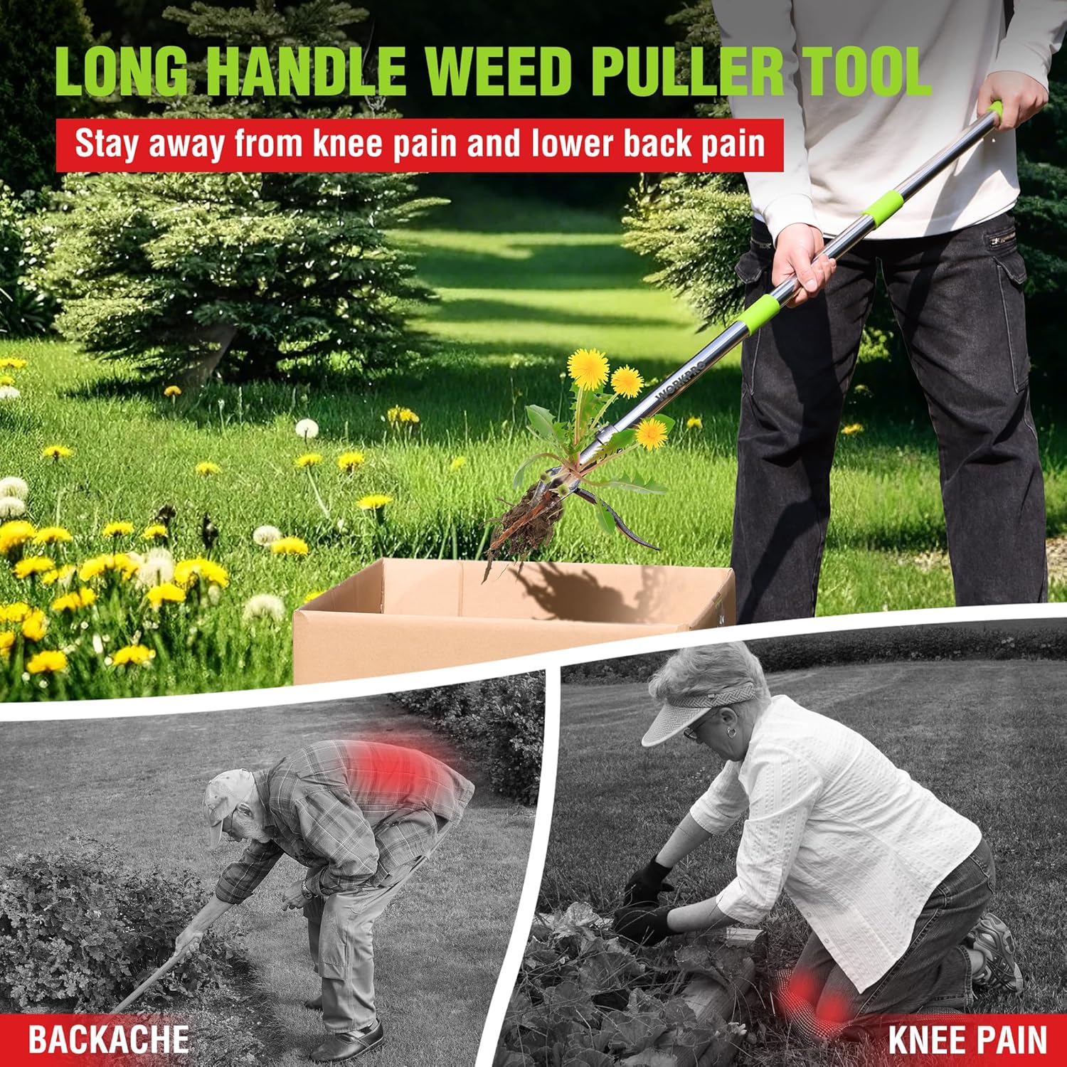 Long handle weed puller tool with green accents and 4-claw head being used outdoors