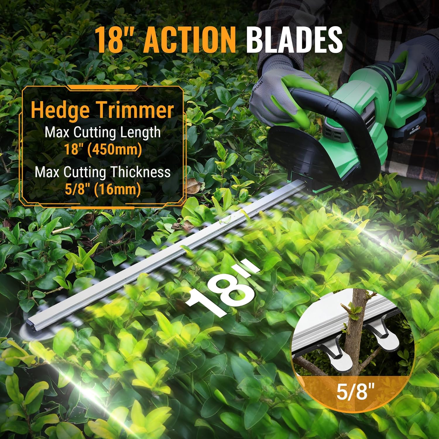 Green cordless hedge trimmer with dual-action blade bar and protective front guard