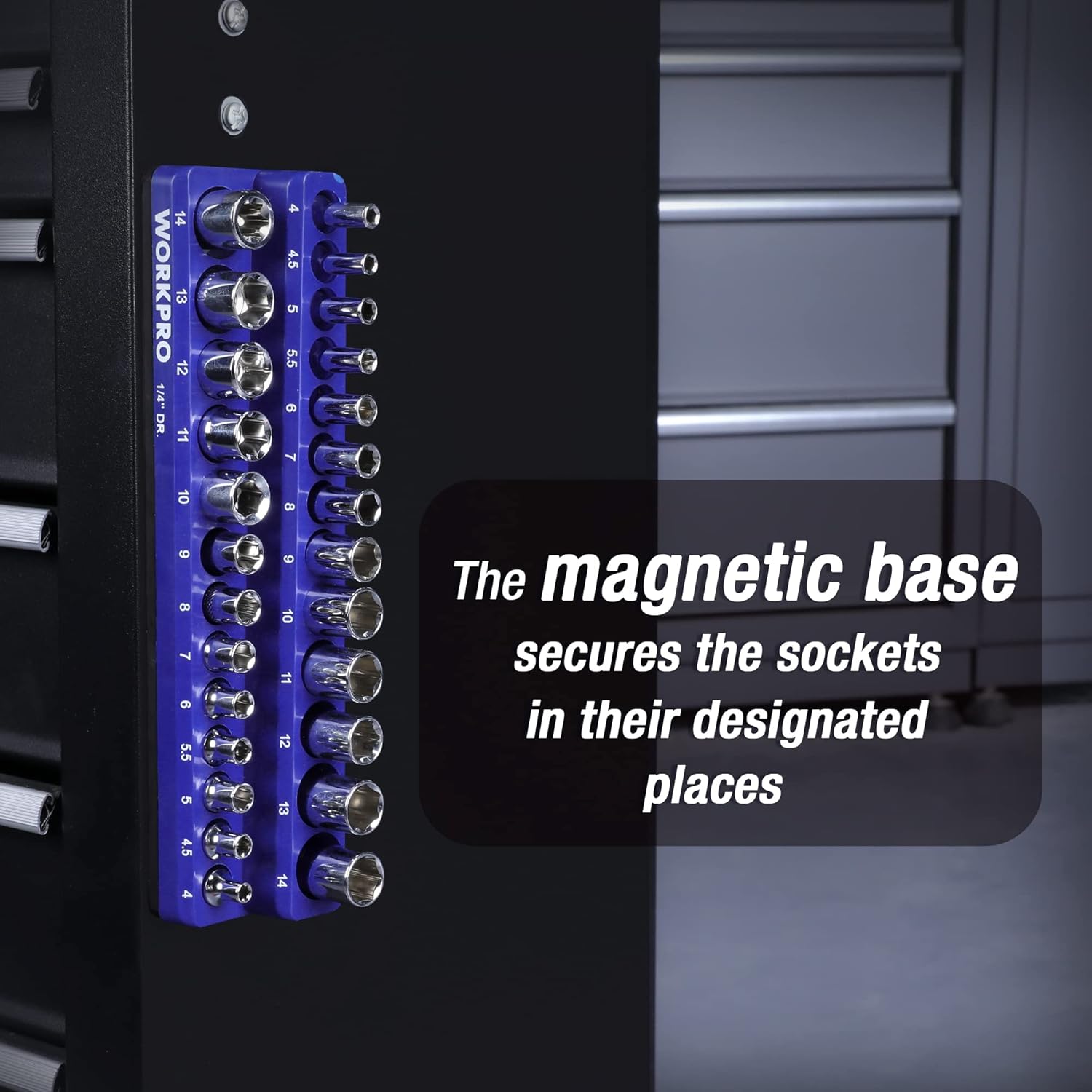 Mounted magnetic socket organizer panel with chrome sockets secured in rows
