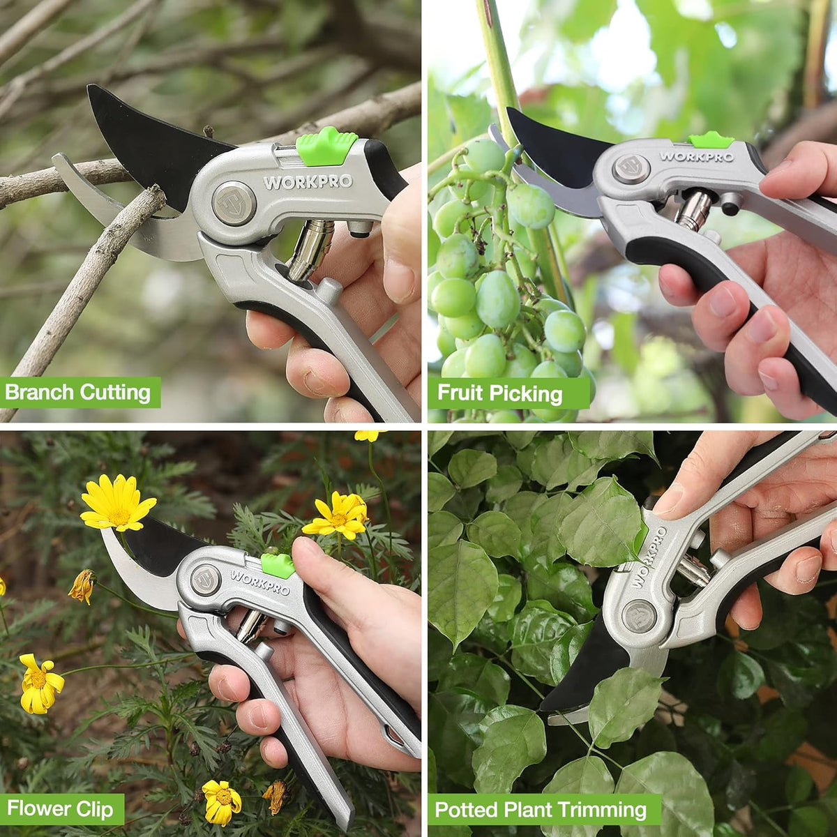 Bypass pruning shears in use trimming stems and flowers with green latch
