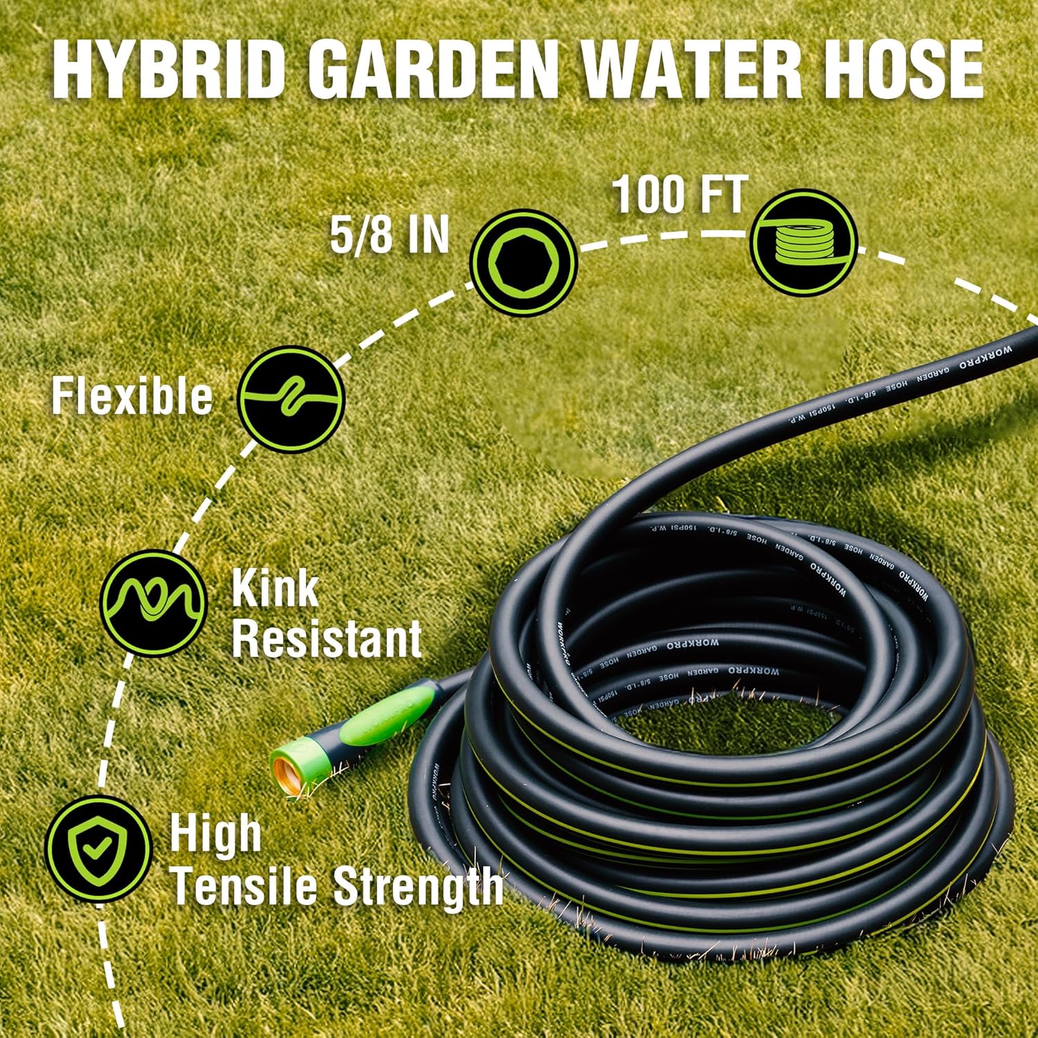 Coiled hybrid garden hose with green fittings, black hose body, 5/8 in size.
