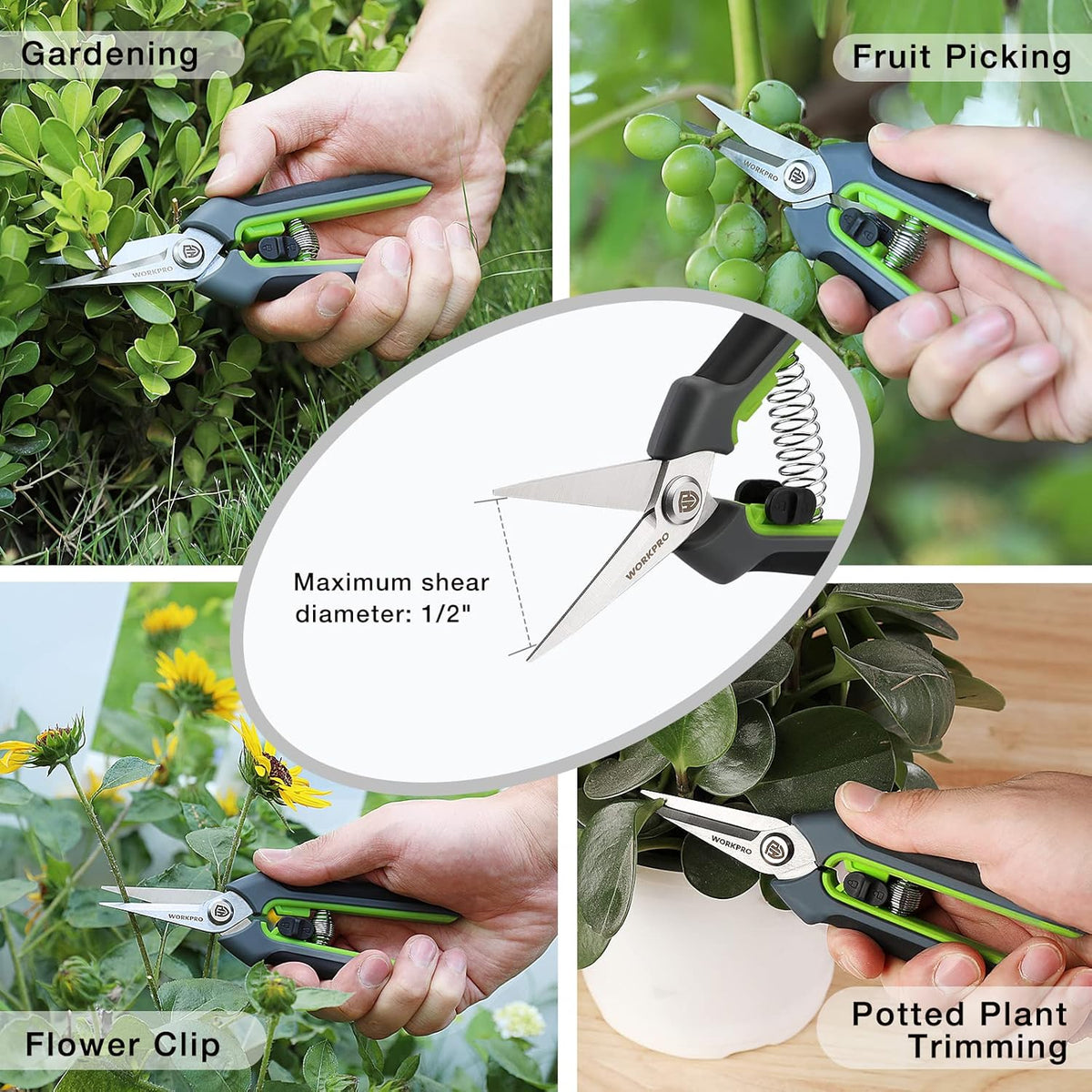 Pruning shears for trimming flowers and potted plants, green handles with straight blades