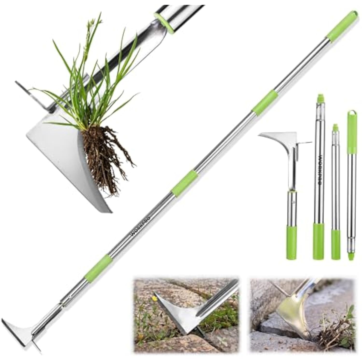 Telescoping stainless steel crack weeder with green handle, scraper head, and blade tips