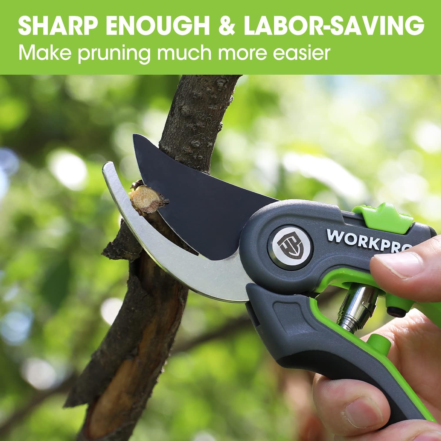 Bypass pruning shears in hand trimming branch with curved black blades and green handle