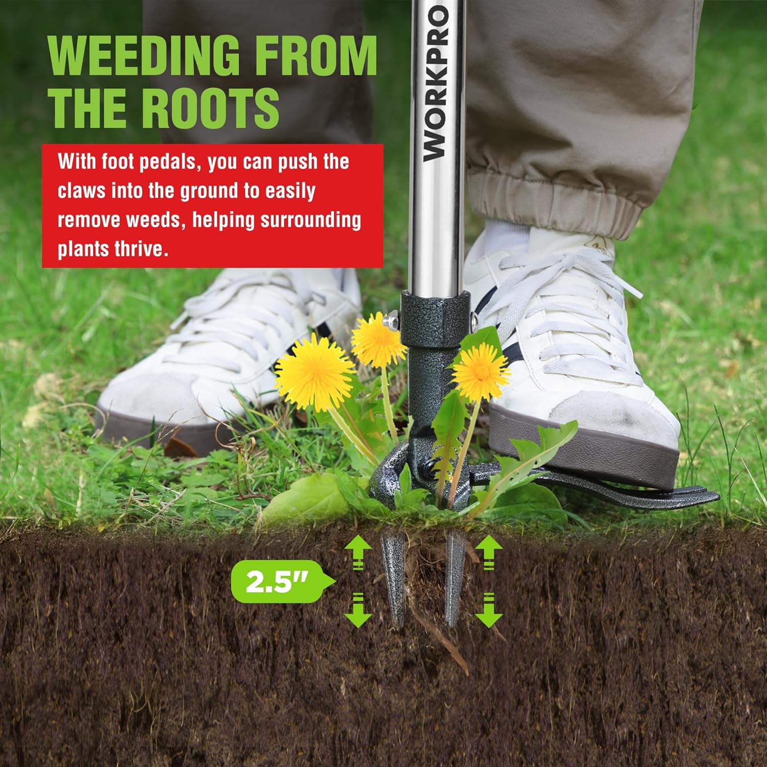 Weed puller with foot pedal and 4-claw head pushing into soil near white boots