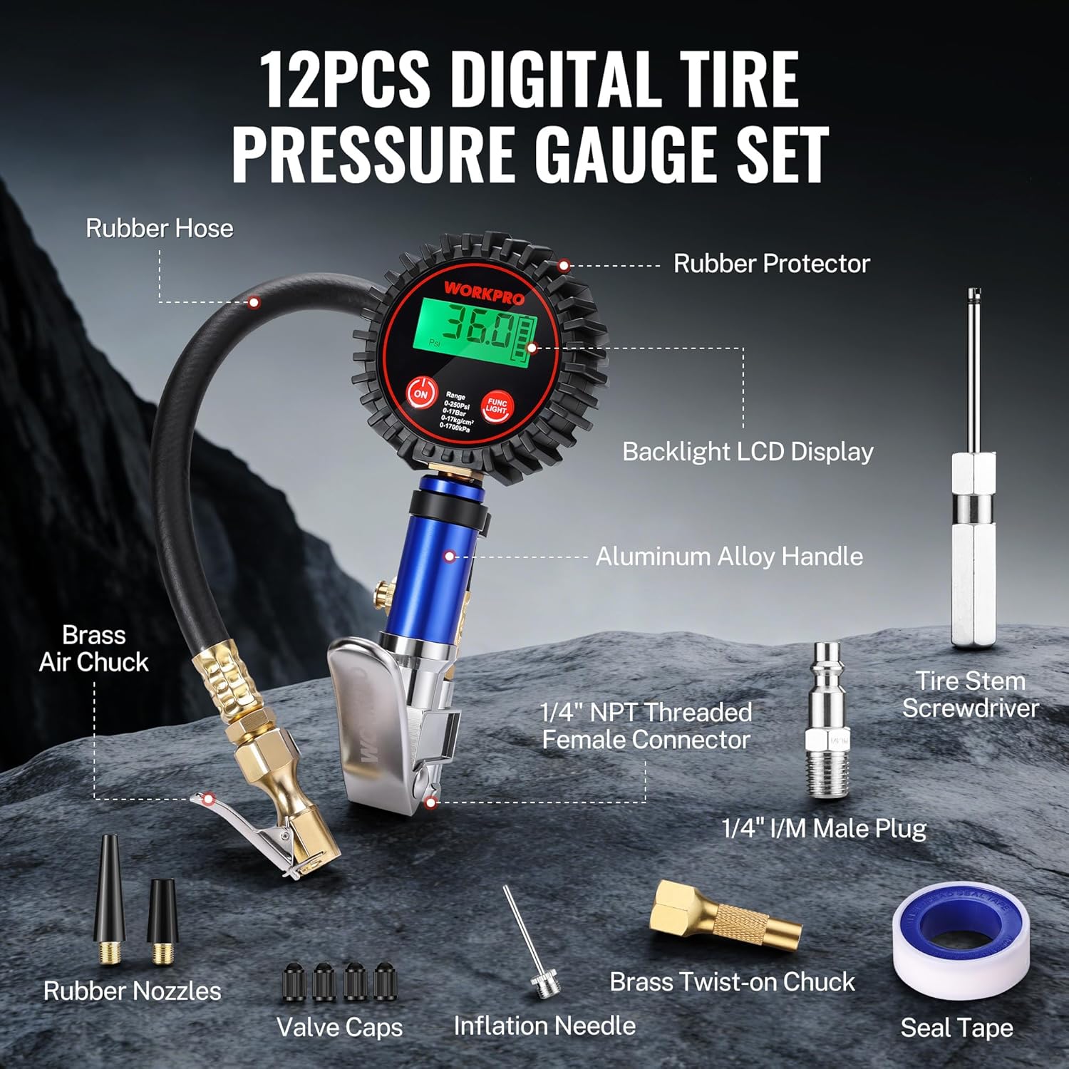 12-piece digital tire pressure gauge set with brass air chuck and rubber hose