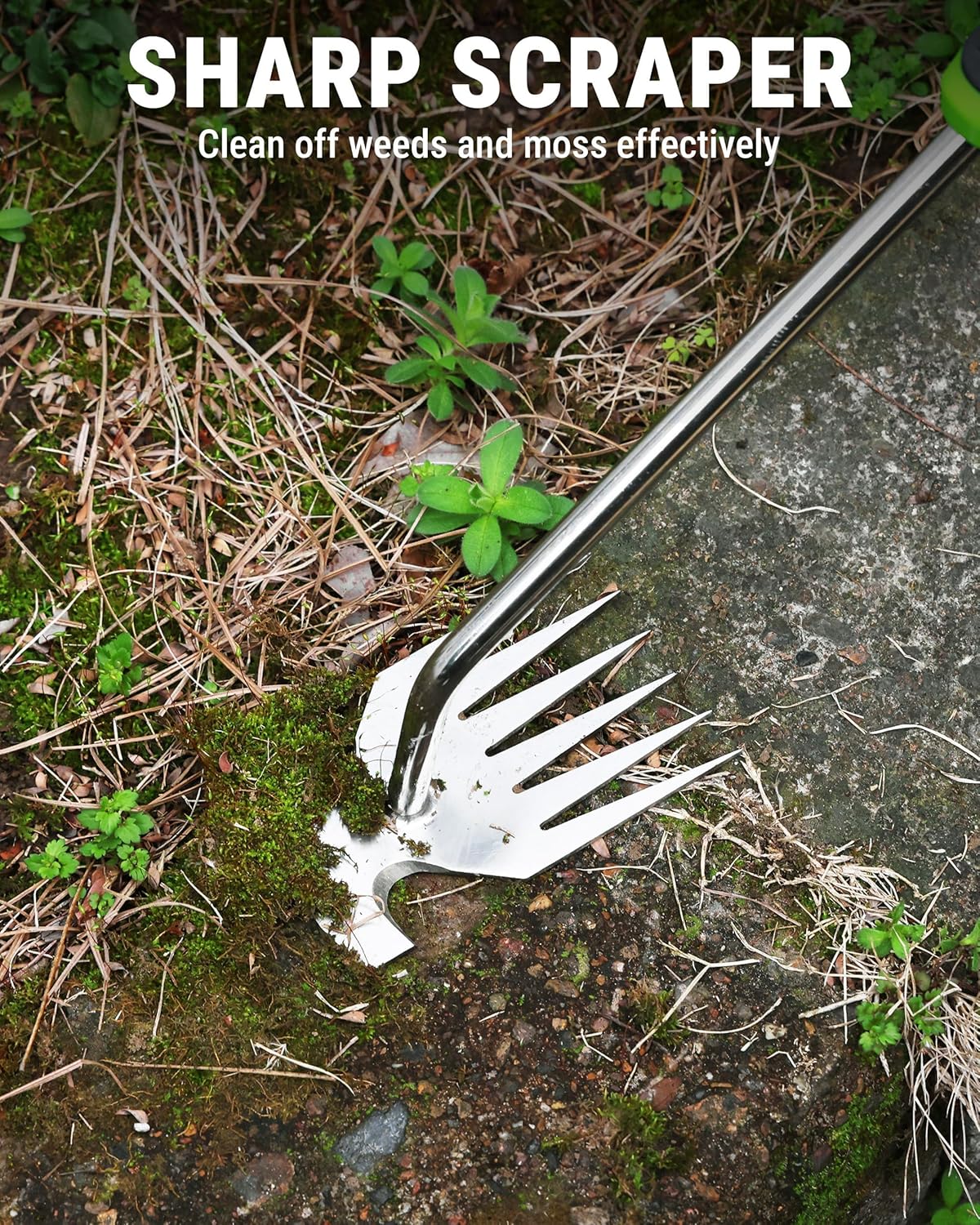 WORKPRO 6-tine stainless steel weed puller with sharp scraper edge for weeds and moss.