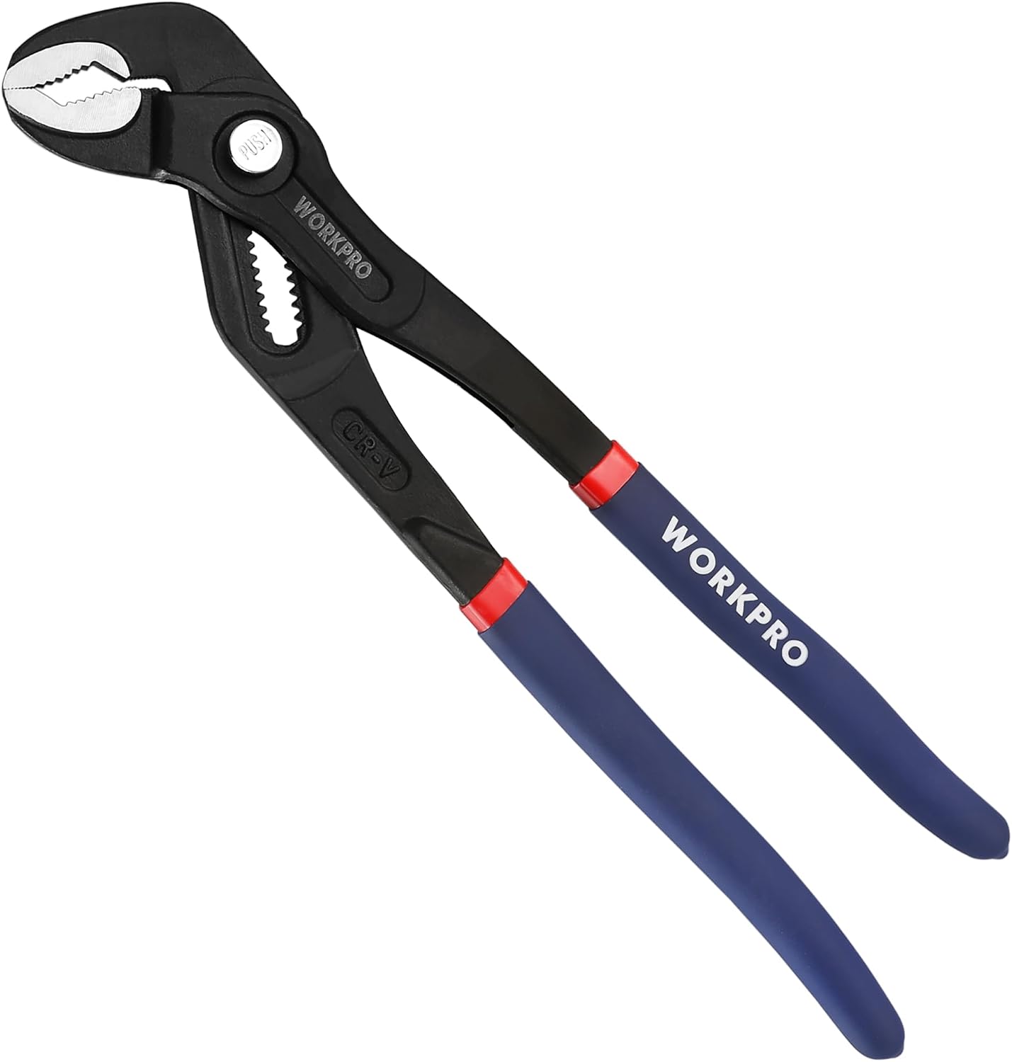 12-inch groove joint pliers with black body, blue handles, and red accents, V-jaw