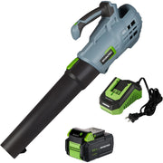 Cordless leaf blower with battery and quick charger, green and gray
