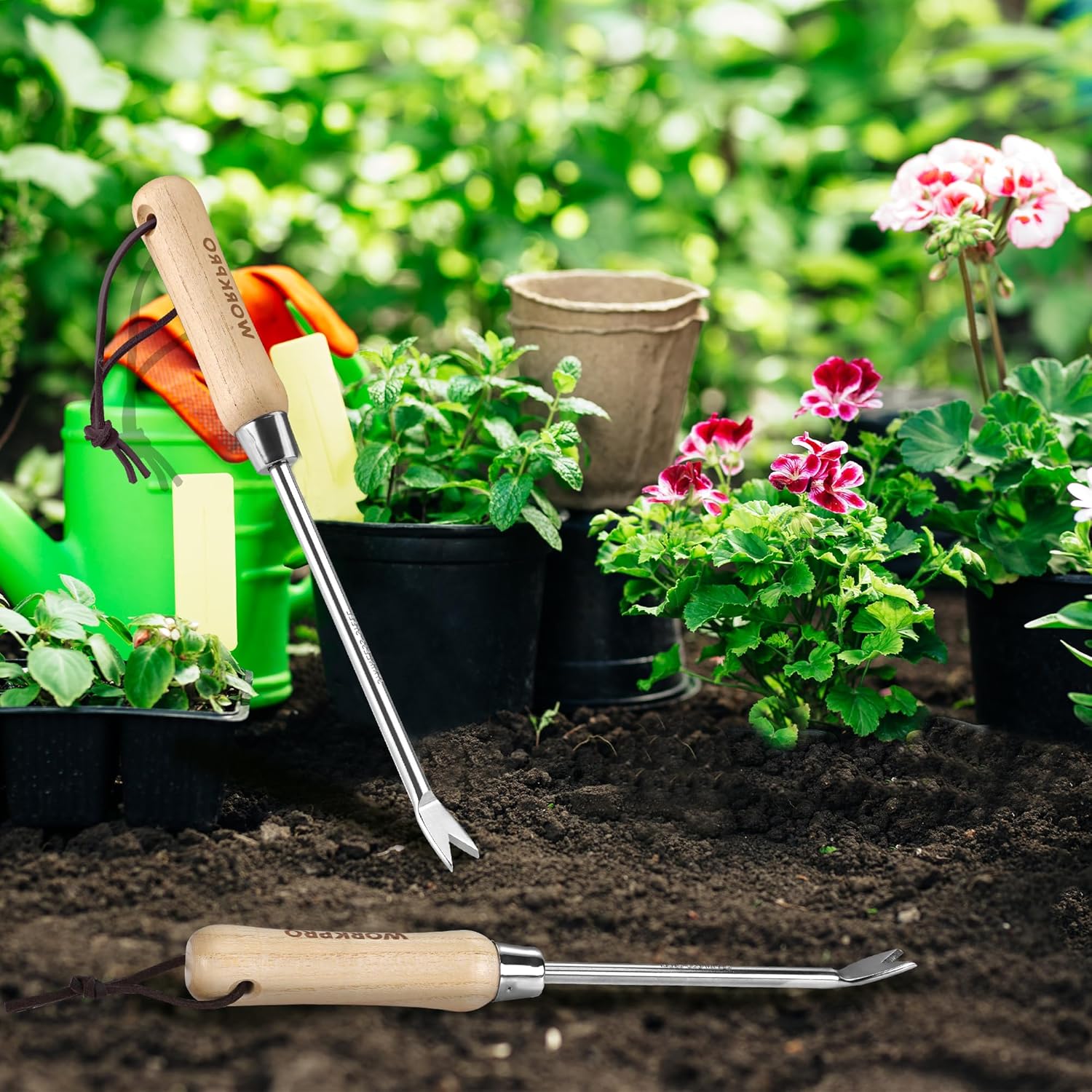 Stainless steel two-pronged weeder tool with light wood handle and hanging cord loop