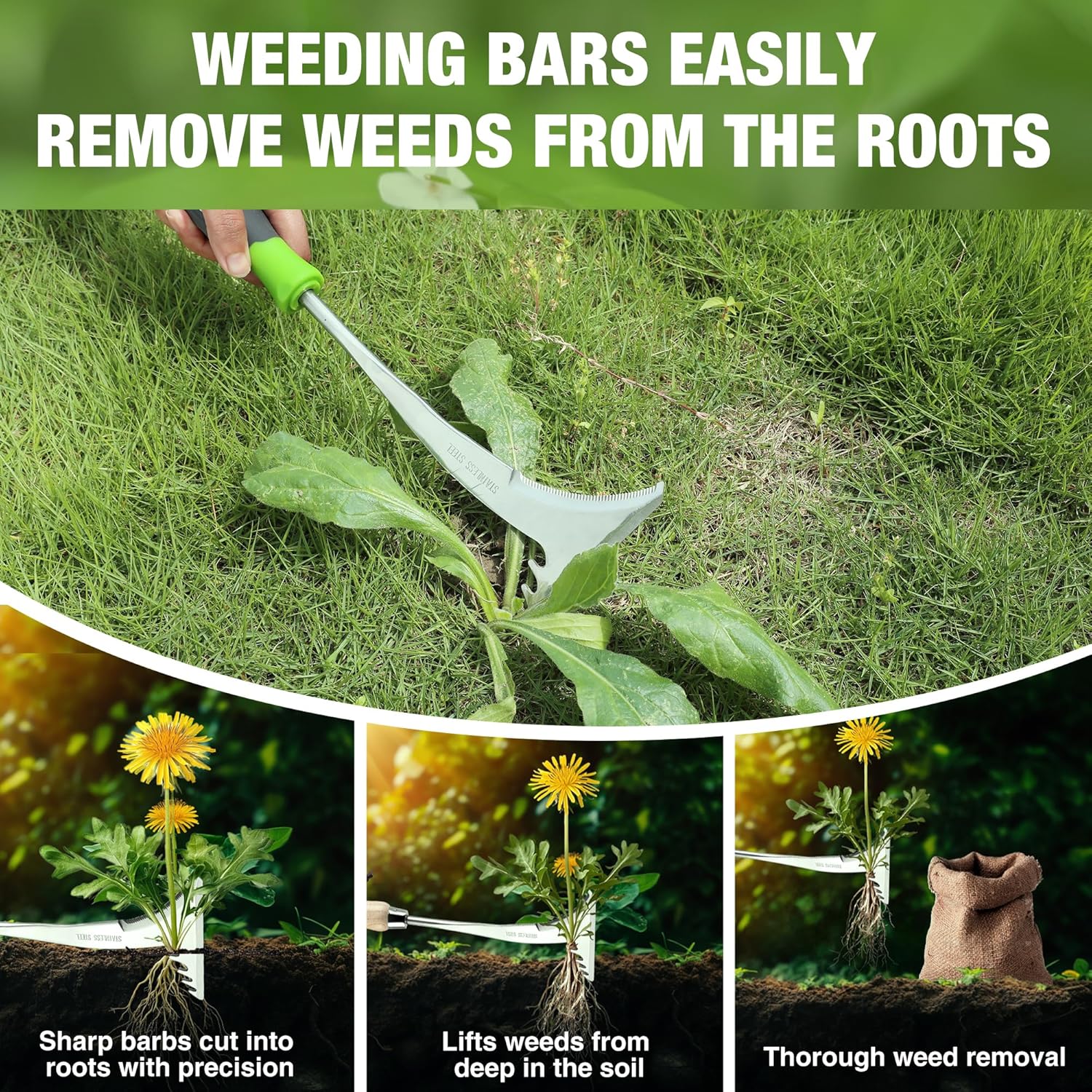 Stainless steel weed bar weeder with green handle for cutting weeds at the roots