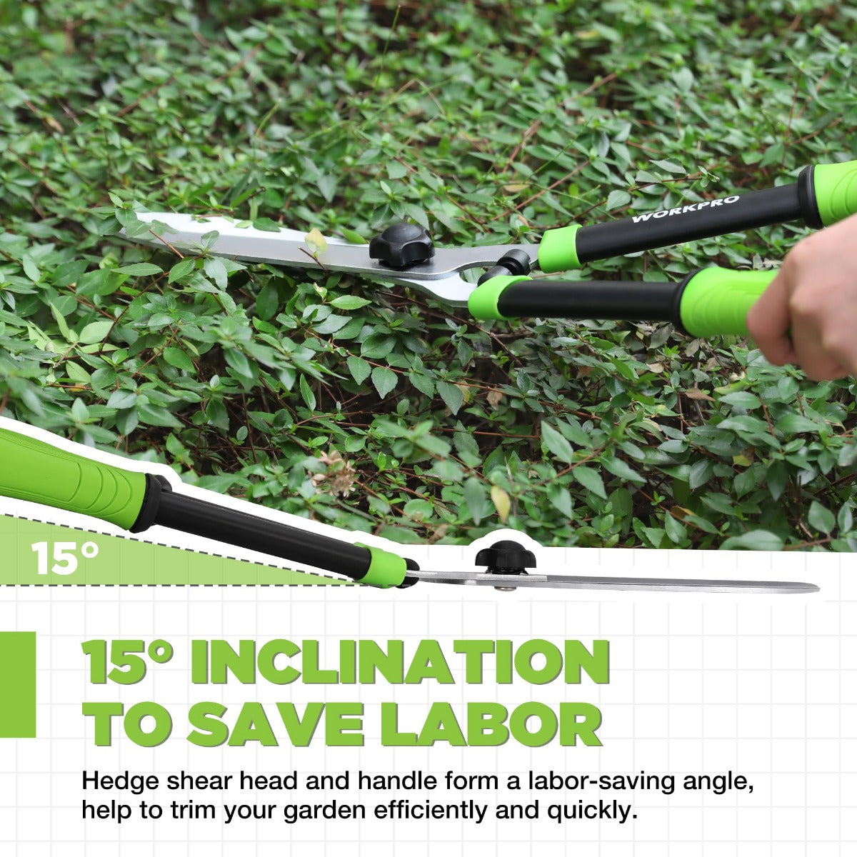 Green-and-black hedge trimmer shears cutting near low shrubs