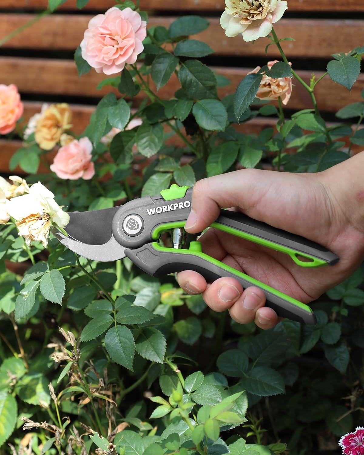 Bypass pruner shear with black blade and green handle cutting rose stems