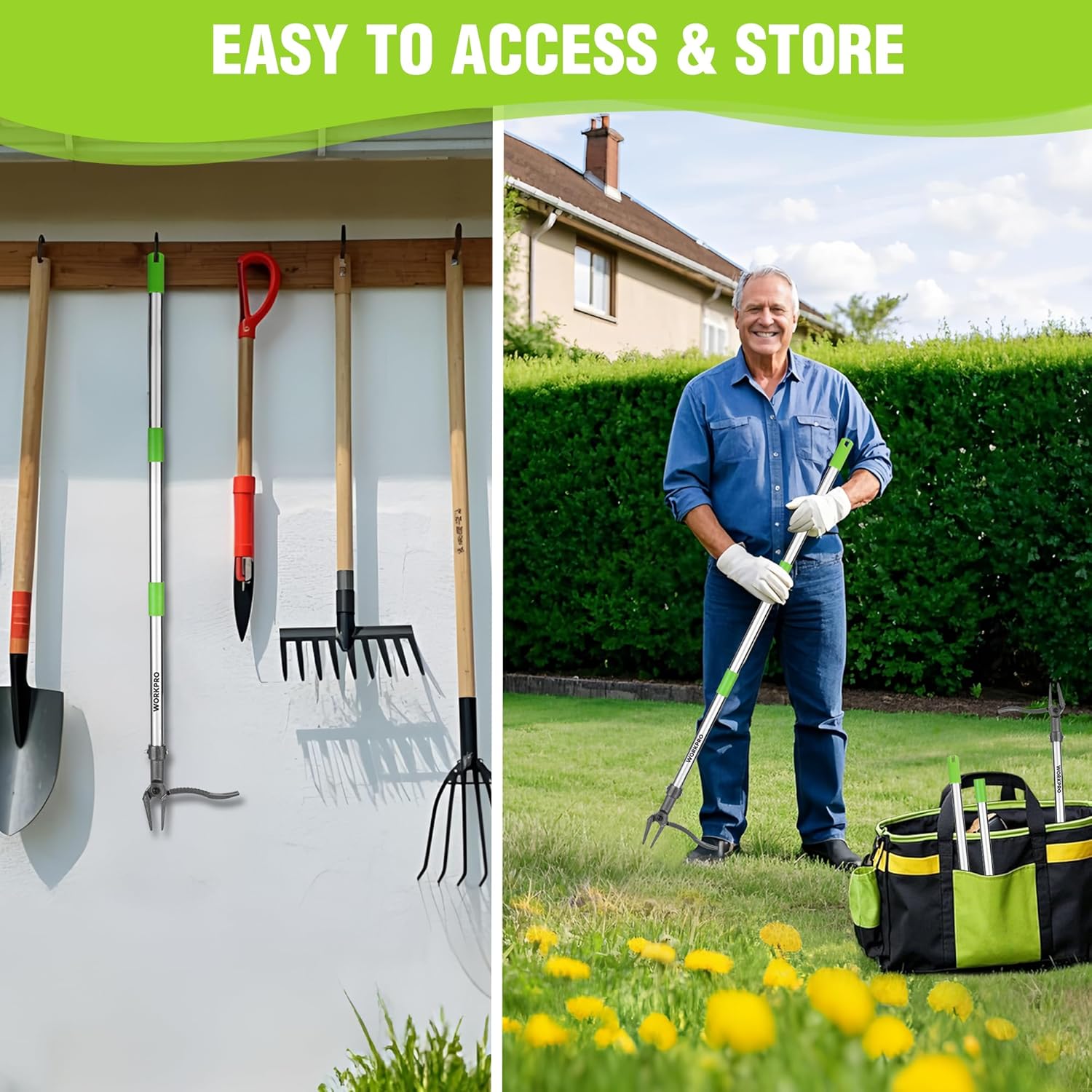 Long-handled weed puller tool hanging for storage, with green handle and 4-claw head