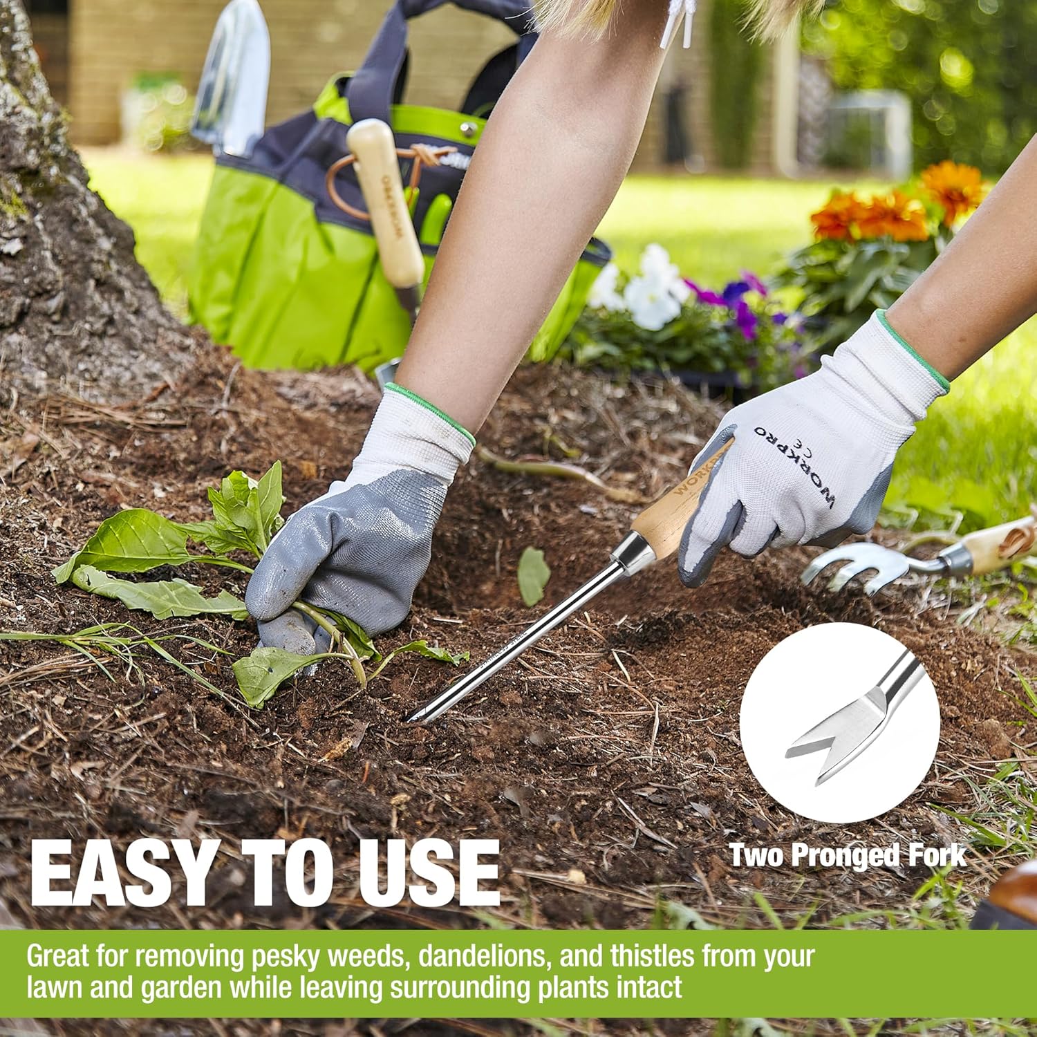 Two-pronged fork weed remover tool with stainless shaft and wooden handle
