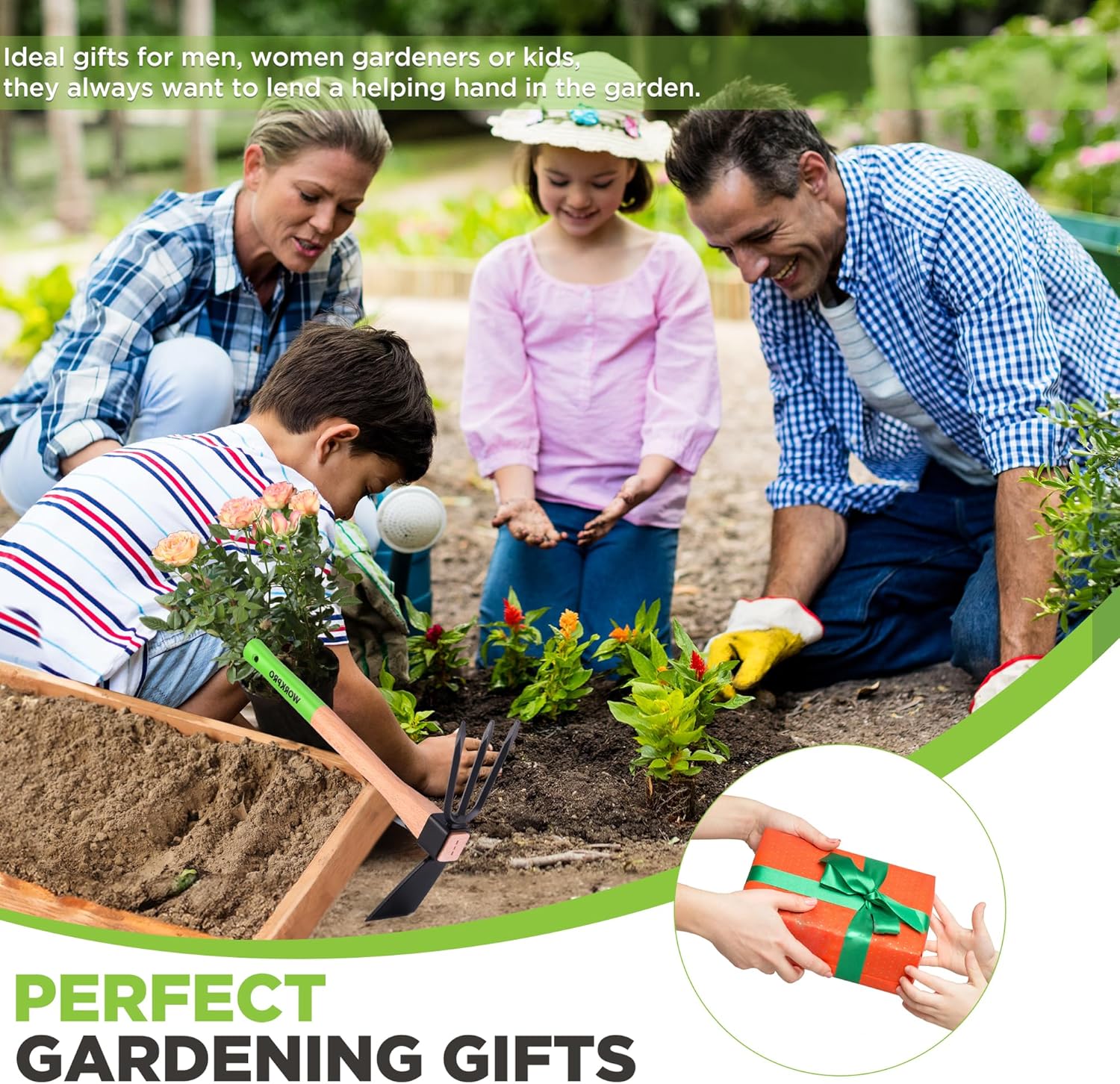 Garden hoe and cultivator tool with wooden handle and black metal head in a garden bed