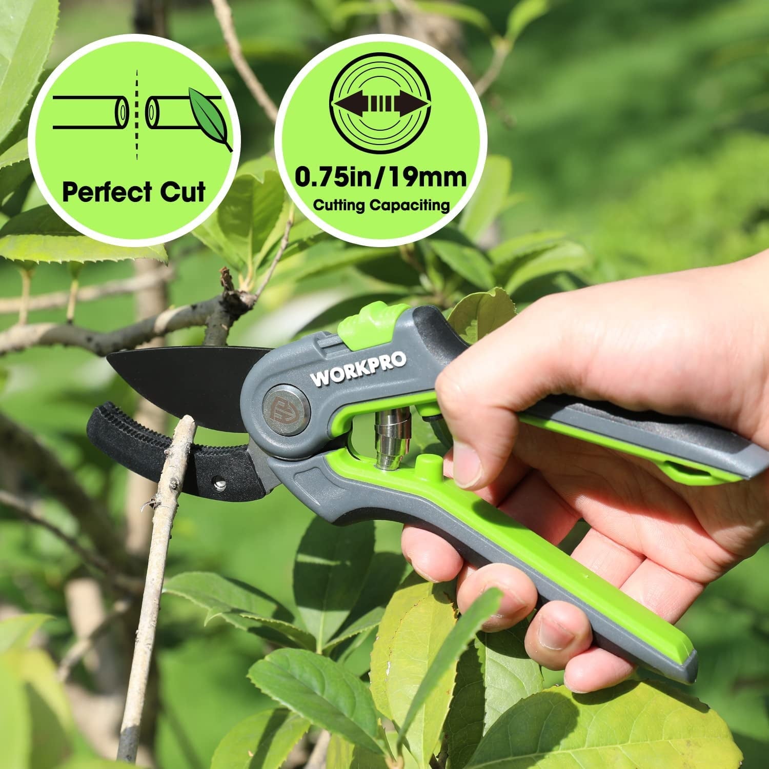 Green-and-black pruning shears cutting a small branch for trimming and shaping