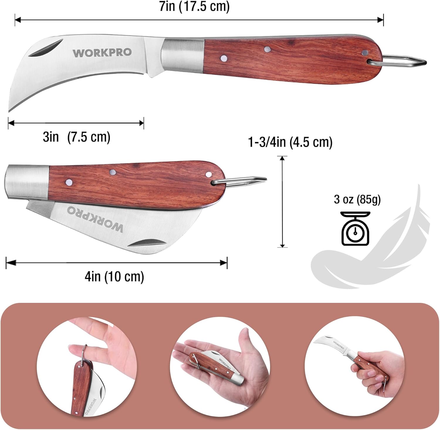 Folding utility knife with wood handle and curved stainless blade, size diagram