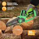 WORKPROX 20V Cordless 6 inch Electric Mini Chainsaw with Type-C Fast Charging 2.0Ah Battery