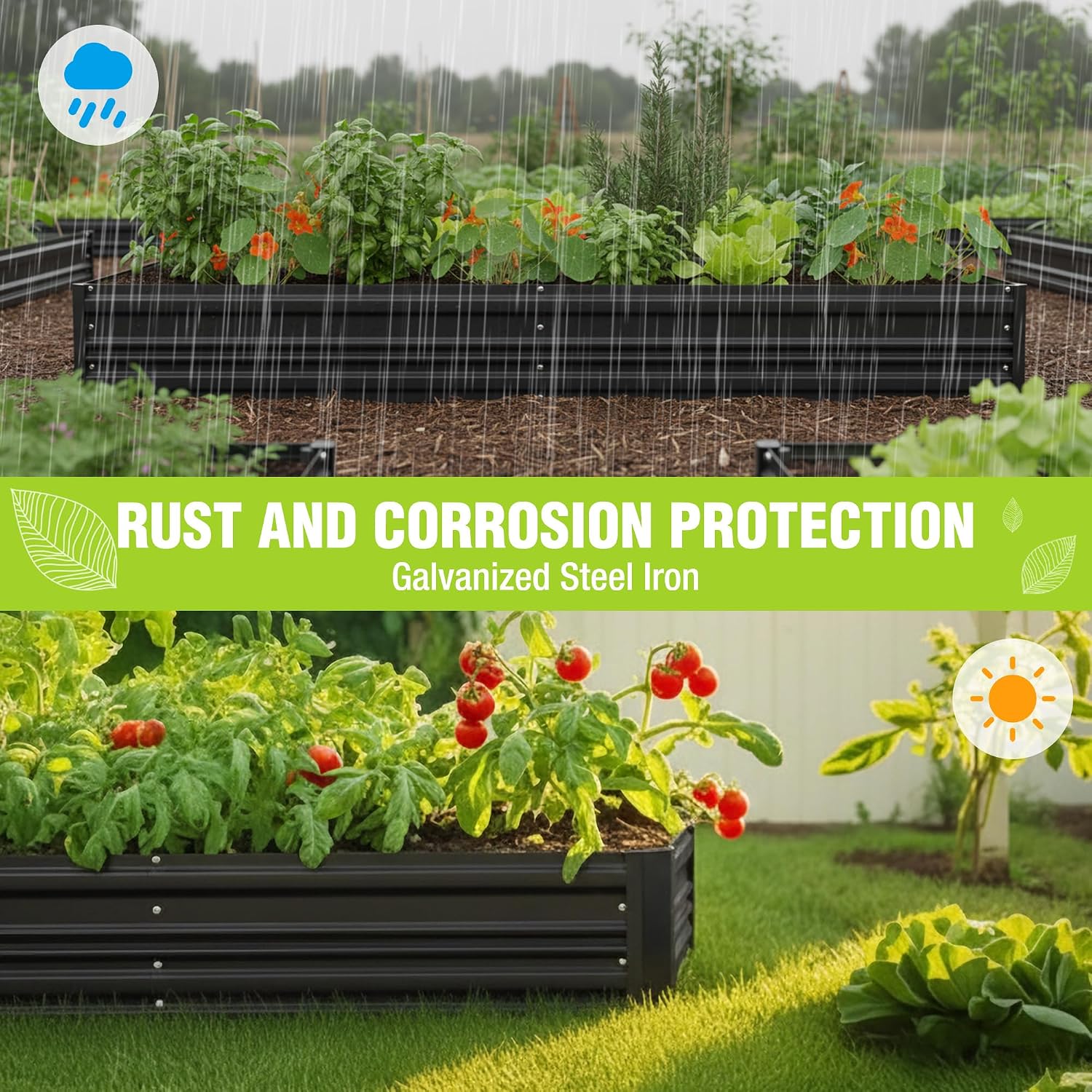Black galvanized raised garden bed with tomato plants and surrounding soil