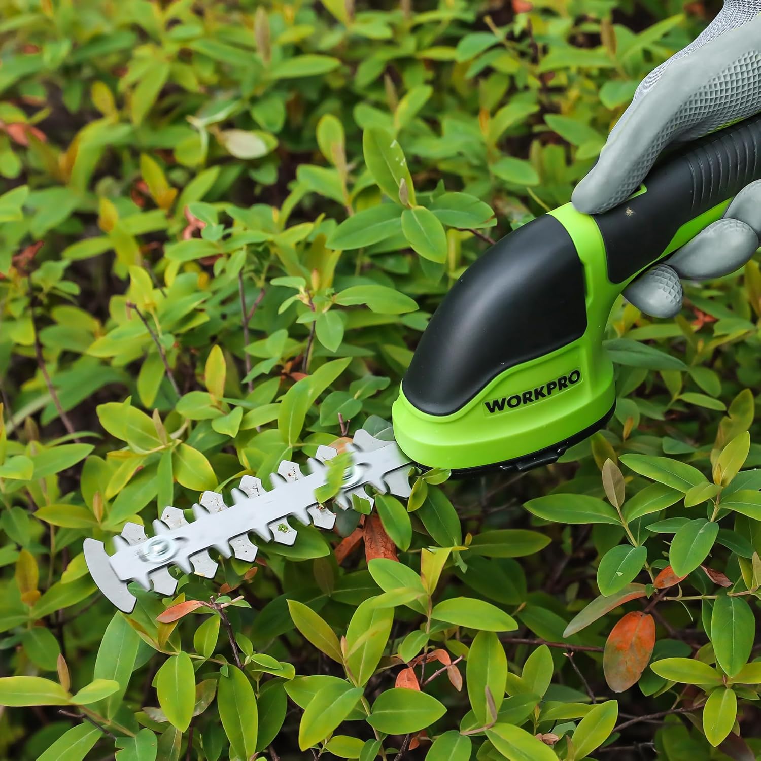 Grass shear replacement blades on trimmer head with metal cutters and mounting holes.
