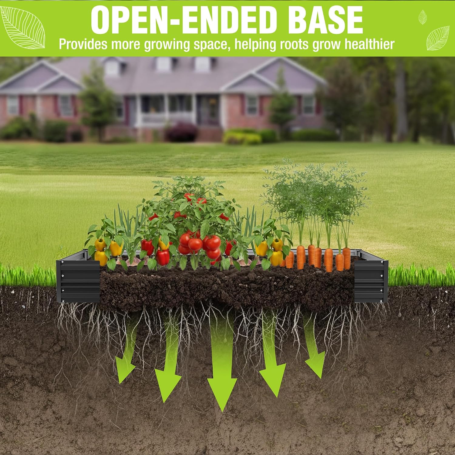 Black open-bottom raised garden bed in ground, with vegetables growing in soil