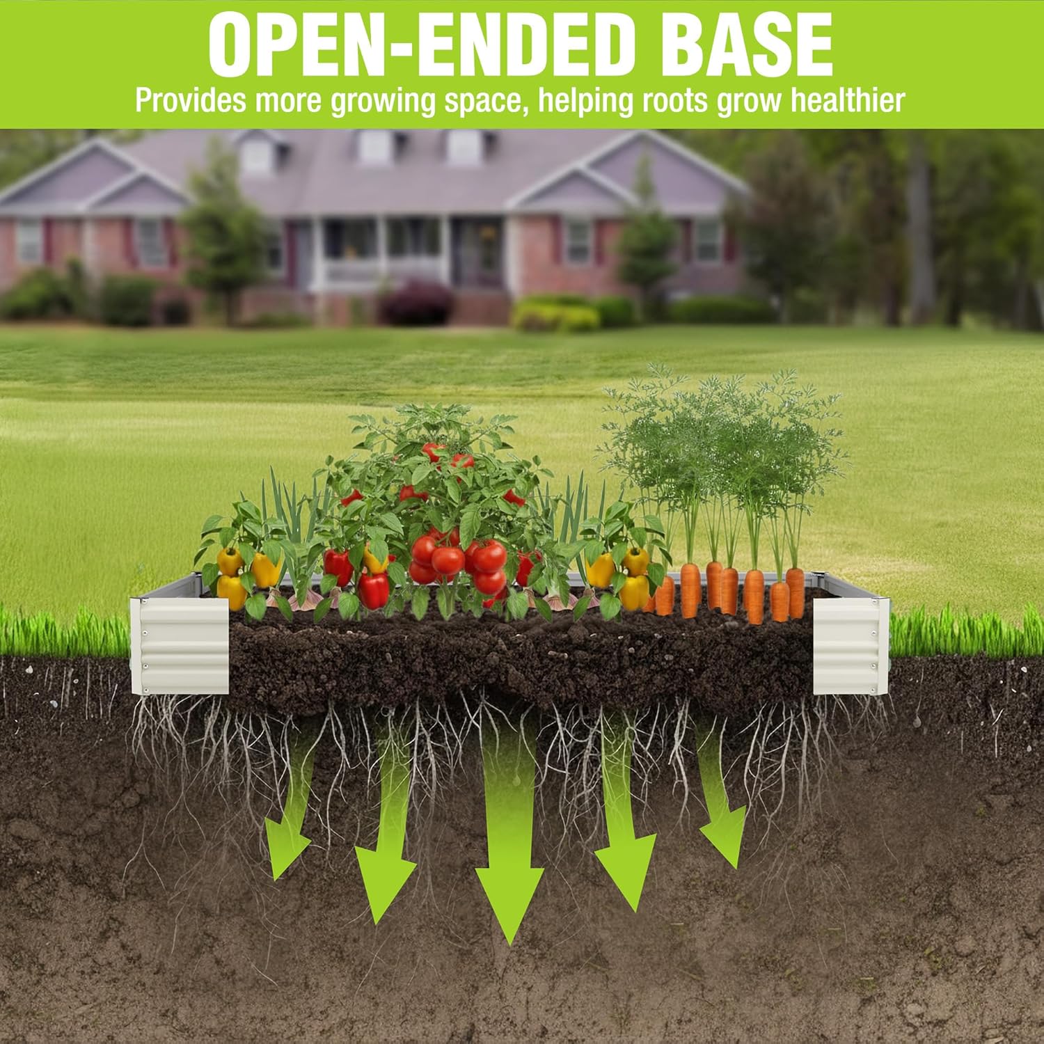 White raised galvanized garden bed filled with soil and assorted seedlings