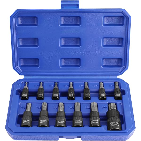 Torx bit socket set in blue storage case with assorted Torx socket bits