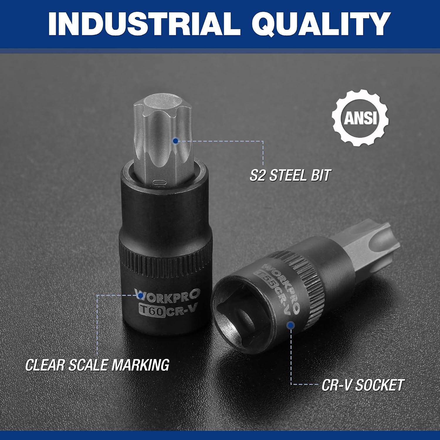 Black Torx bit and CR-V socket with S2 steel tip and scale markings