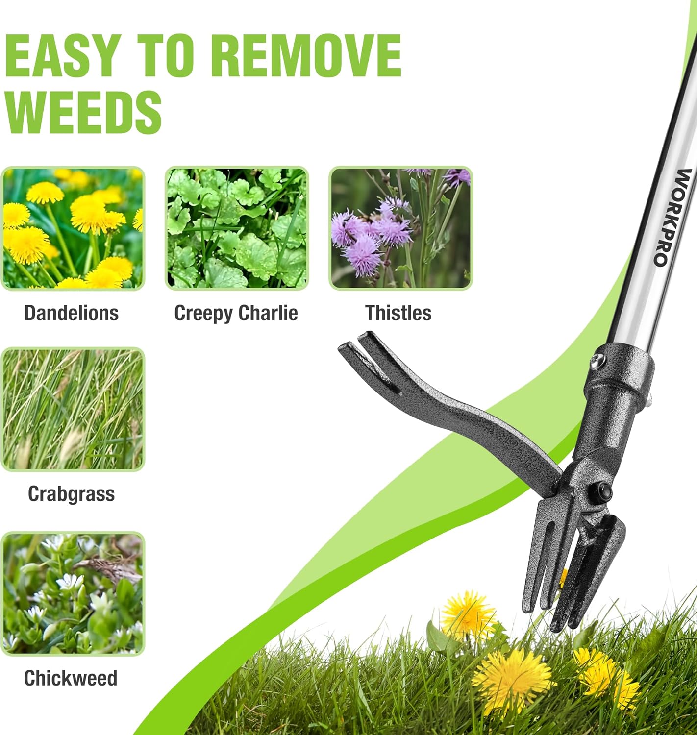 Weed puller tool with curved 4-claw head and green/gray long handle for removing weeds
