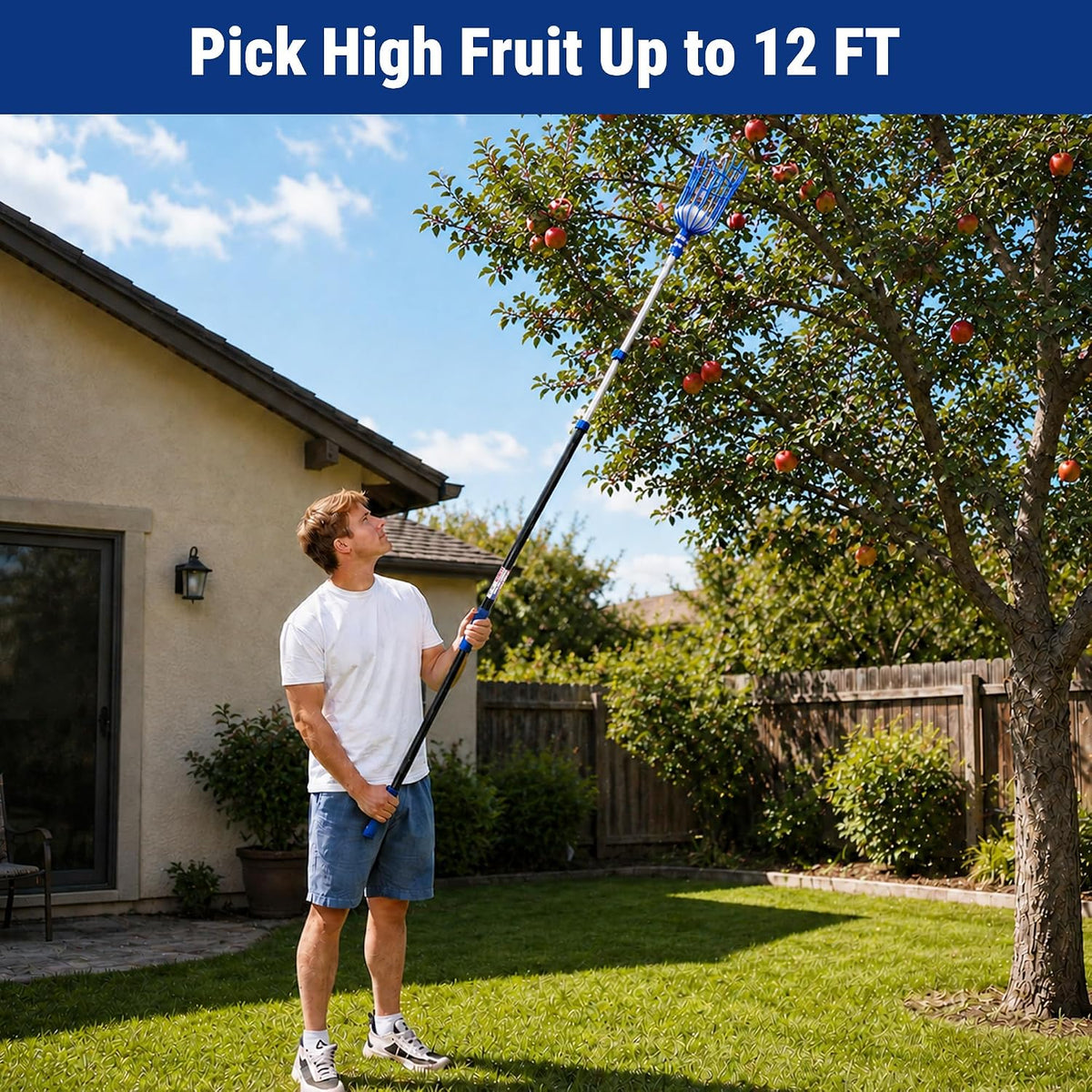 Workpro telescoping fruit picker tool with a blue basket for backyard harvesting, reaching fruit from a tree.