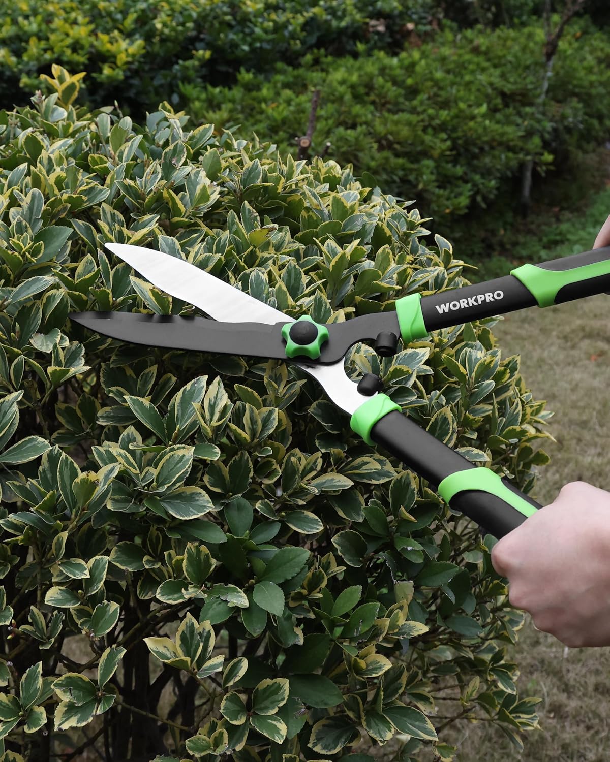 Hedge shear with black blades and green handle trimming leafy hedge branches