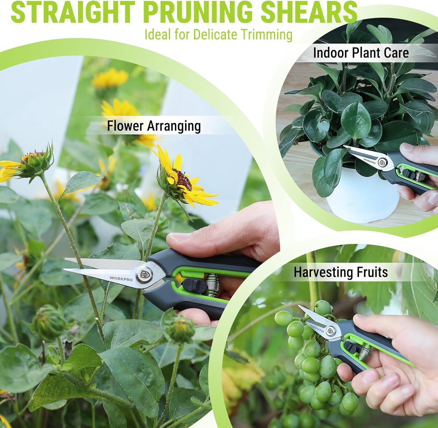 WORKPRO straight pruning shears with green handles, trimming plant stems and fruit