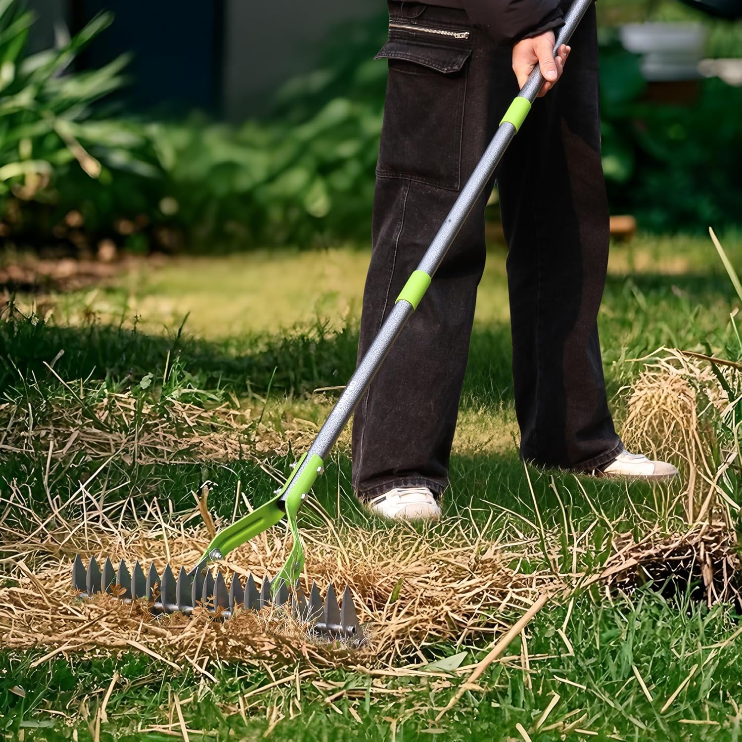 Green-and-silver dethatching rake with curved steel teeth in use on lawn