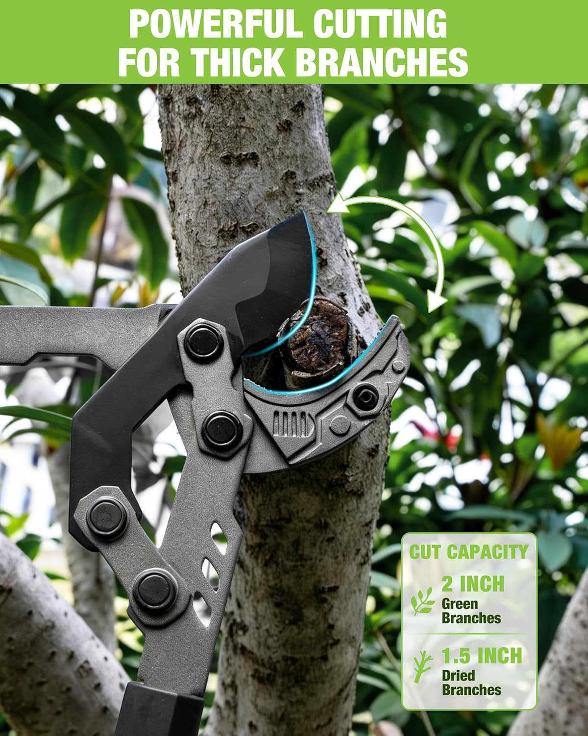 Anvil lopper cutting branches on a tree trunk; 2-inch capacity shown in green panel.